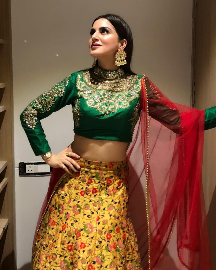 Shimmery Lehengas Are Always A Good Idea! Which Lehenga Of Shraddha Arya Would You Pick? - 6