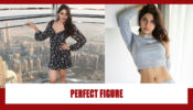 Feel The Heat: When Nikki Tamboli Teased Fans With Her Perfect Hot Figure