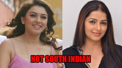 From Hansika Motwani To Bhumika Chawla: Meet These Famous 7 South Indian Actresses Who Are Not South Indian