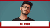 How Rich Is CarryMinati?
