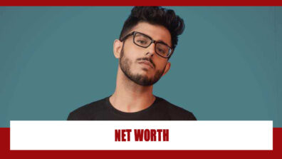 How Rich Is CarryMinati?