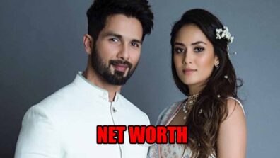 How Rich Are Shahid Kapoor & Mira Rajput? Know Their Combined Net Worth