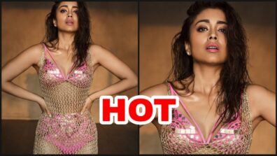 How Romantic: Shriya Saran poses in a bikini for husband Andrei Koscheev, fans love the chemistry