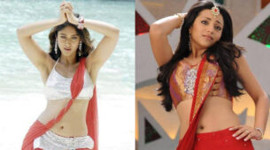 Ileana D’Cruz & Trisha Krishnan’s  Hottest Navel Moments In Saree Which We Can’t-Miss