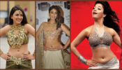 Ileana D’Cruz, Tamannaah Bhatia & Hansika Motwani’s Hottest Belly Curve Navel Moments To Make Us Crush