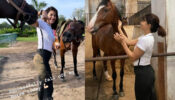 Jacqueline Fernandez falls down from a horse