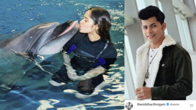 Jannat Zubair Rahmani gets a kiss on cheeks from dolphin, Siddharth Nigam has an interesting reaction