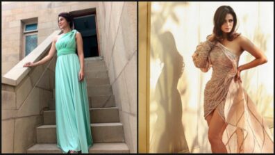 Jennifer Winget Vs Shweta Tiwari: Which Diva Deserves 10/10 On Their One Shoulder Dresses?