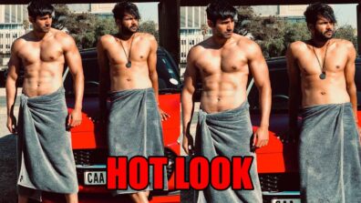 Khatron Ke Khiladi 11: Varun Sood and Vishal Aditya Singh pose shirtless in towel, Nikki Tamboli feels the heat