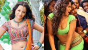 Trisha Krishnan & Parul Yadav Most Gorgeous Belly Curve Navel Moments That Made Us Feel the Heat
