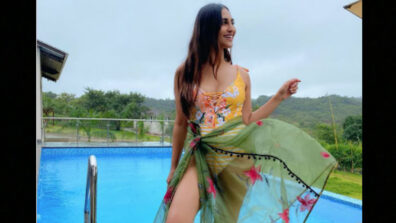 Krystle D’souza burns the gram with her super Swimsuit photo, fans go bananas