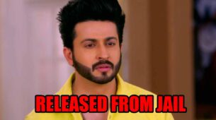 Kundali Bhagya spoiler alert: Karan gets released from jail