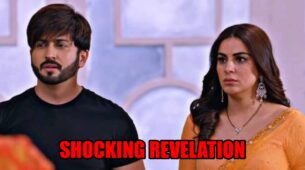 Kundali Bhagya spoiler alert: Preeta makes a shocking revelation to Karan