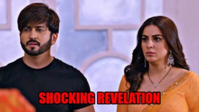 Kundali Bhagya spoiler alert: Preeta makes a shocking revelation to Karan