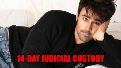 Latest news: Pearl V Puri sent to 14-day judicial custody