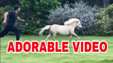 Lockdown Life Goals: MS Dhoni races with his Shetland Pony, video goes viral