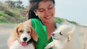 [Lucky Babies] TMKOC diva Nidhi Bhanushali is big animal lover in real life & this video is proof