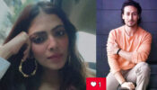 Malavika Mohanan shares super hot candid selfie photo, Tiger Shroff likes it