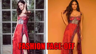 Malavika Mohanan Vs Ananya Panday: Which Hot Lady Looks Stunning In High Slit Multiprint Dress?