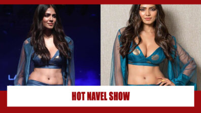 Malavika Mohanan’s Hot Navel Show Is Here, Dare Not Sweat