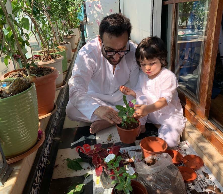 Meet These B-Town Celebs Who Are Plant Parents: From Saif Ali Khan To Anushka Sharma - 0