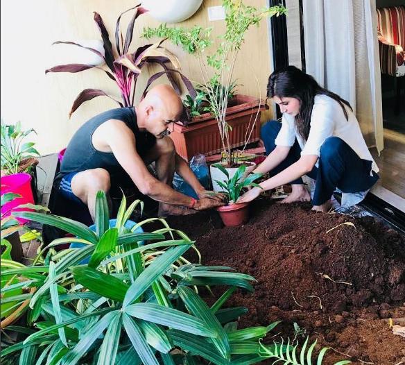 Meet These B-Town Celebs Who Are Plant Parents: From Saif Ali Khan To Anushka Sharma - 3