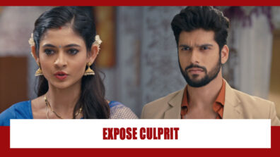 Mehndi Hai Rachne Waali Spoiler Alert: Raghav and Pallavi join hands to expose culprit