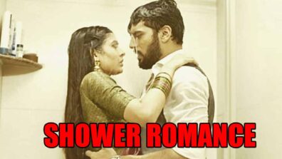 Mehndi Hai Rachne Waali spoiler alert: Raghav and Pallavi’s shower romance