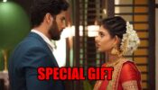 Mehndi Hai Rachne Waali spoiler alert: Raghav gets special gift for Pallavi