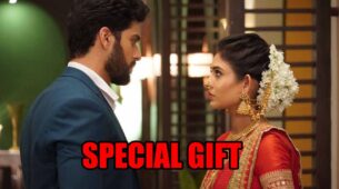 Mehndi Hai Rachne Waali spoiler alert: Raghav gets special gift for Pallavi