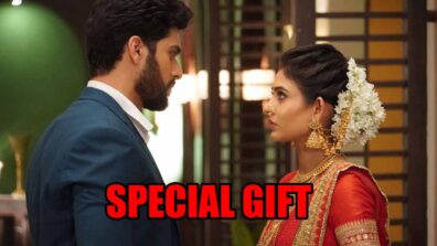 Mehndi Hai Rachne Waali spoiler alert: Raghav gets special gift for Pallavi