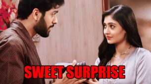 Mehndi Hai Rachne Waali spoiler alert: Raghav’s sweet surprise for Pallavi