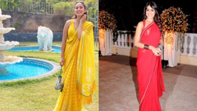 Mira Rajput & Genelia Dsouza’s Best Saree Look Style Ideas To Steal Before Attending A Wedding