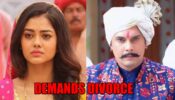 Molkki spoiler alert: Purvi demands divorce from Virendra