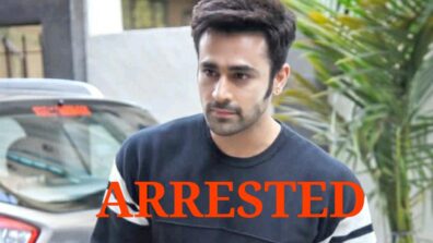 Naagin 3 actor Pearl V Puri arrested 