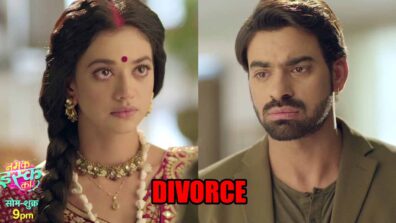 Namak Issk Ka spoiler alert: Kahani and Yug get DIVORCED