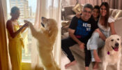 Nia Sharma gets into a pet fight; fans can’t stop laughing
