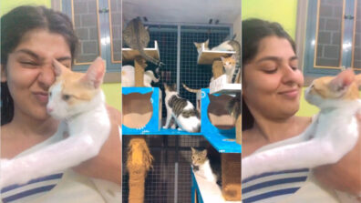 Nidhi Bhanushali is a ‘cat lady’, shares a super cute pampering video of her ‘love’