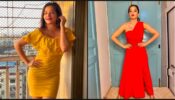 Off Shoulder To One Shoulder: Monalisa Can Slay Any Look With Perfection