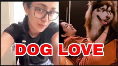 Oh So Cute: South divas Trisha Krishnan and Charmee Kaur share their ‘pawsome’ moments, fans melt in awe