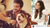 Pawsome Love: Dheeraj Dhoopar’s ‘proud dad’ moment with his pet dog, Adaa Khan finds it super cute