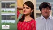 Pehchan Kaun: Taarak Mehta Ka Ooltah Chashmah fame Palak Sindhwani & Kush Shah’s moment caught on camera, do you like it?