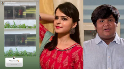 Pehchan Kaun: Taarak Mehta Ka Ooltah Chashmah fame Palak Sindhwani & Kush Shah’s moment caught on camera, do you like it?