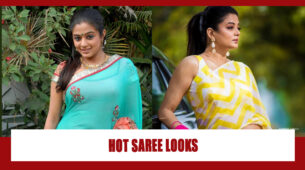 Priyamani And Her Hottest Looks In Sarees
