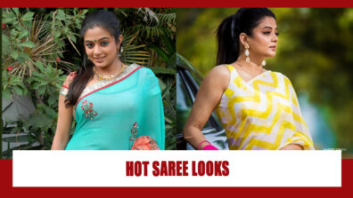 Priyamani And Her Hottest Looks In Sarees