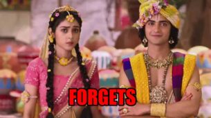 RadhaKrishn spoiler alert: Radha fails to remember Krishna