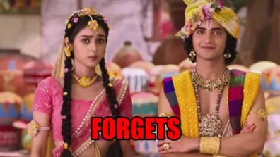 RadhaKrishn spoiler alert: Radha fails to remember Krishna