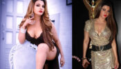 Rakhi Sawant looks smoking hot in deep-neck low-cut black bold outfit, fans sweat