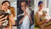 Rashmika Mandanna, Alia Bhatt & Kriti Sanon Are Adorable Pet Parents & We Love These Cute Photos, See Now