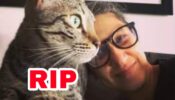 RIP: Famous Casting Director-Producer Seher Aly Latif passes away